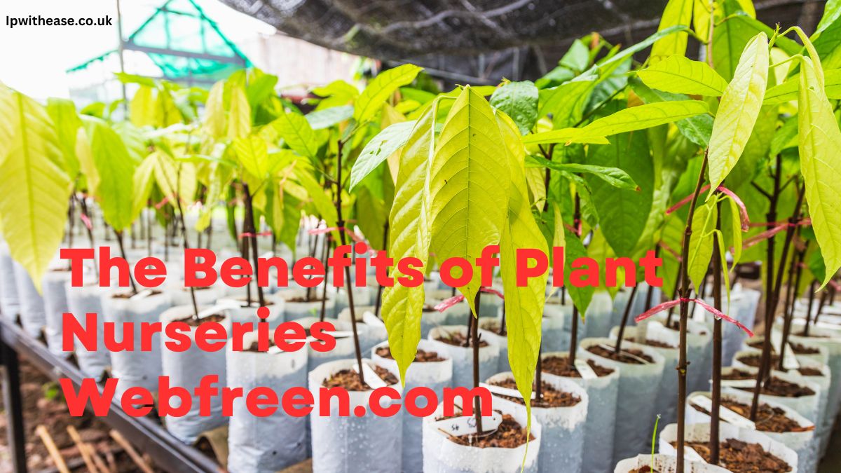 The Benefits of Plant Nurseries Webfreen.com