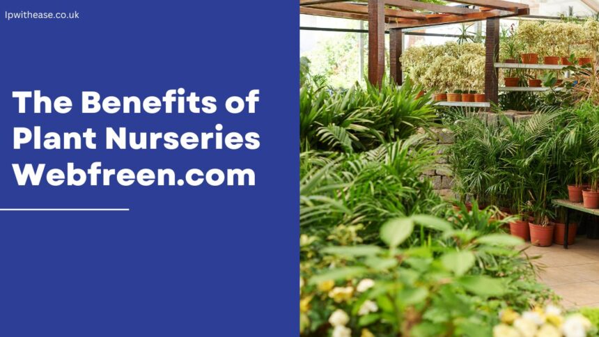 The Benefits of Plant Nurseries Webfreen.com