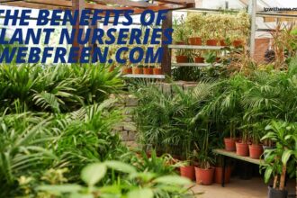 The Benefits of Plant Nurseries Webfreen.com