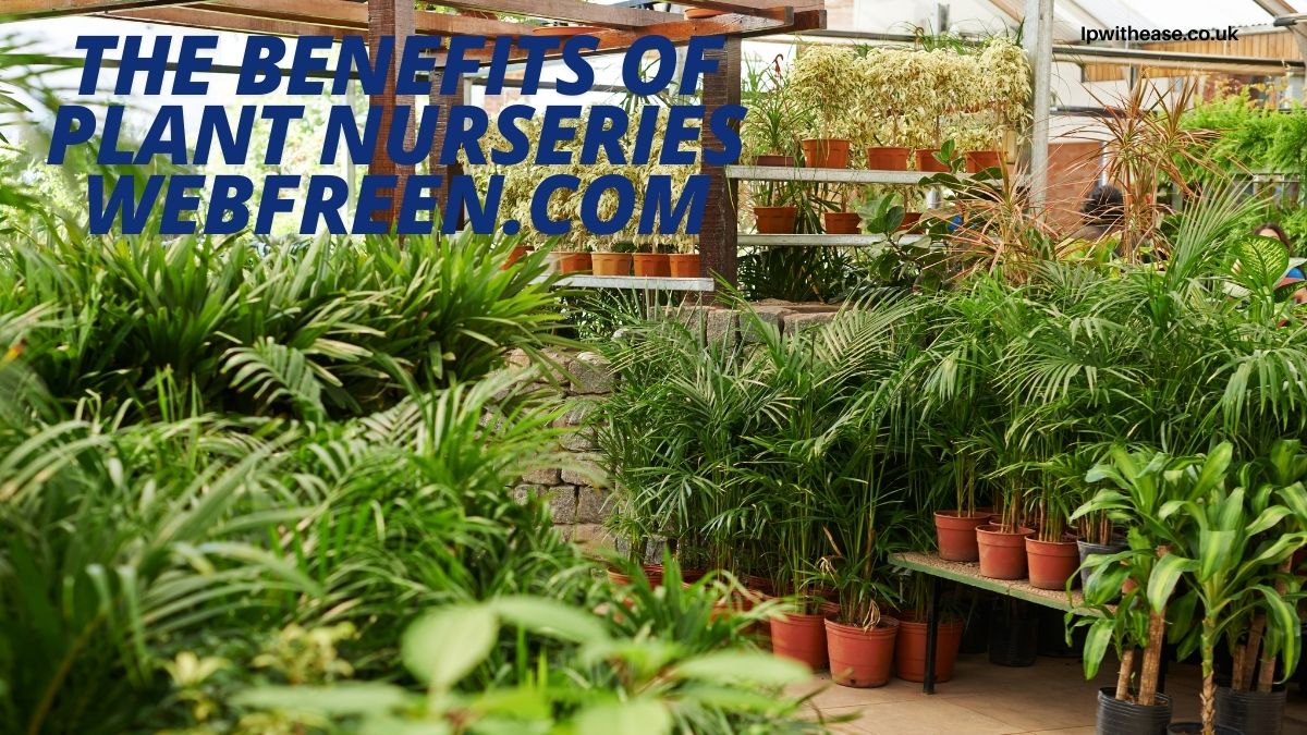 The Benefits of Plant Nurseries Webfreen.com