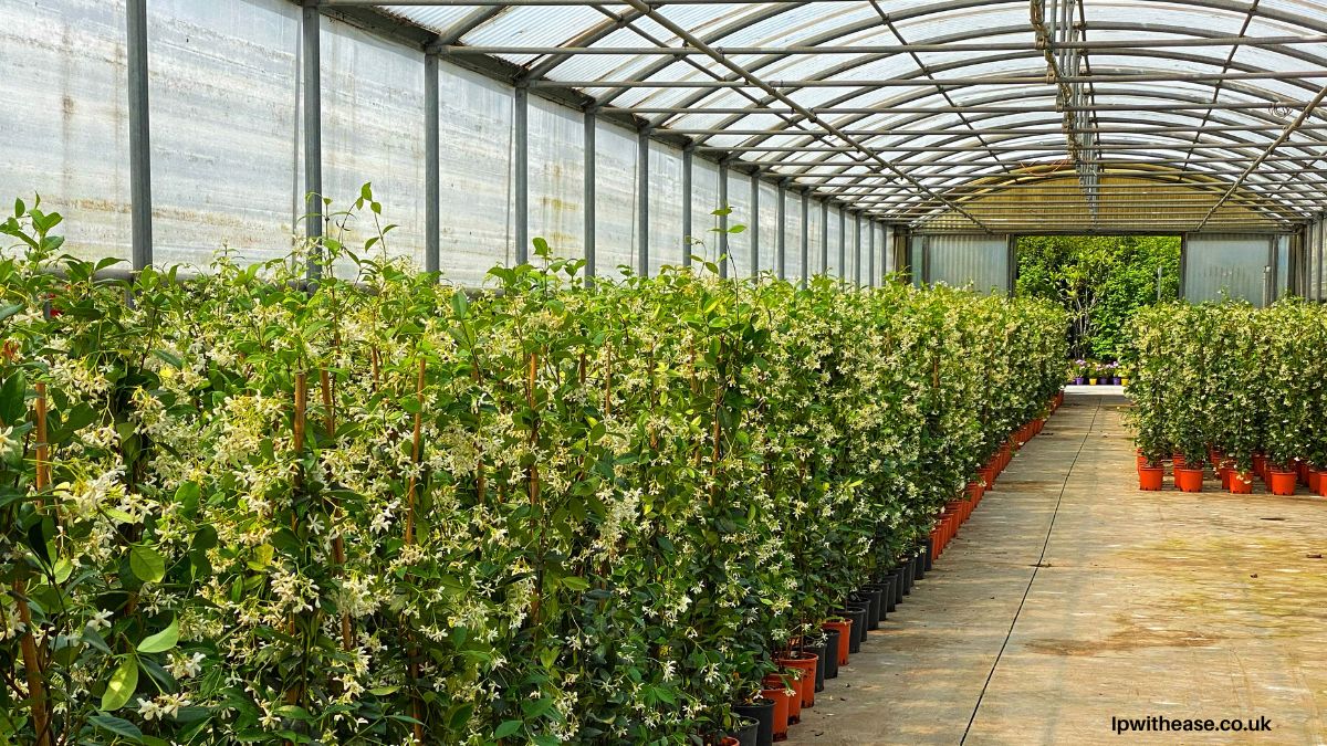 The Benefits of Plant Nurseries Webfreen.com